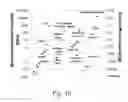 Fig. 11 - NANOSTRUCTURED SORBENT MATERIALS FOR CAPTURING ENVIRONMENTAL MERCURY VAPOR