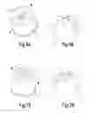 Fig. 06 - Atomising device, atomising body and method of manufacturing the same