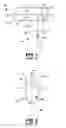 Fig. 02 - MULTIPLE INLET ATMOSPHERIC PRESSURE IONIZATION APPARATUS AND RELATED METHODS