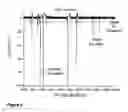 Fig. 10 - Fast time-of-flight mass spectrometer with improved data acquisition system
