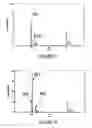 Fig. 17 - Fast time-of-flight mass spectrometer with improved data acquisition system