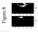 Fig. 09 - Imaging systems featuring waveguiding compensation