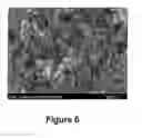 Fig. 07 - Fluorescent Carbon Nanoparticles