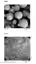 Fig. 02 - PROCESS FOR THE PREPARATION OF CRYSTALLINE LITHIUM-, IRON- AND PHOSPHATE-COMPRISING MATERIALS