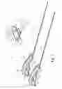 Fig. 02 - SAFETY VEHICLE RAMP AND METHOD