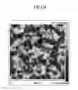 Fig. 08 - Optoelectronic device