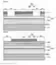 Fig. 05 - Semiconductor device and method for manufacturing of the same