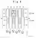 Fig. 05 - TCP-type semiconductor device