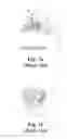 Fig. 02 - Hydrodynamic circumferential seal system for large translations