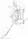 Fig. 07 - Motorized rocking chair moved in a pendulum manner