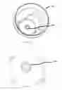 Fig. 22 - LED Lamps with Packaging as a Kit