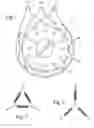 Fig. 02 - Electric motor and electric generator