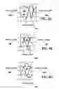 Fig. 06 - Monolithically integrated active electronic circuit and waveguide structure for terahertz frequencies