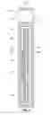 Fig. 05 - Multifunctional switch and detector assembly for a medical imaging system including the same