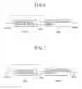 Fig. 06 - Image processing apparatus and method and image display apparatus