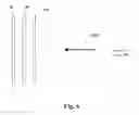 Fig. 09 - ELECTRICAL DEVICE WITH SELECTIVELY REFLECTIVE DISPLAY