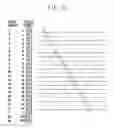 Fig. 11 - Recording apparatus and method for controlling recording apparatus