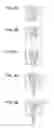 Fig. 07 - Liquid ejecting head and method of manufacturing the same