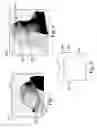 Fig. 06 - Synchronized views of video data and three-dimensional model data