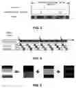 Fig. 04 - Devices and methods of generating three dimensional (3D) colored models