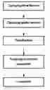 Fig. 01 - VIDEO IMAGE MOTION PROCESSING METHOD INTRODUCING GLOBAL FEATURE CLASSIFICATION AND IMPLEMENTATION DEVICE THEREOF