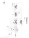 Fig. 02 - Apparatus for auto phase detection for video signal and method thereof