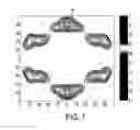 Fig. 08 - Optimized polarization illumination