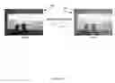 Fig. 23 - Digital image tone adjustment