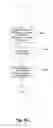Fig. 07 - METHOD OF QUERYING IMAGE OUTPUT DEVICES ON A NETWORK