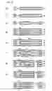 Fig. 07 - Electro-optical apparatus, flexible printed circuit board, manufacturing method for electro-optical apparatus, and electronic equipment