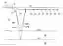 Fig. 01 - Sensor grouping for dual sensor marine seismic streamer and method for seismic surveying
