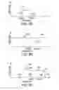 Fig. 06 - System and method for determining location of submerged submersible vehicle