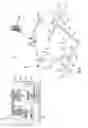 Fig. 02 - Address stripping in a meter reading wireless mesh network and associated system