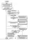Fig. 05 - Route-optimised mulitcast traffic for a mobile network node