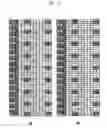 Fig. 05 - Method of reference signal allocation in wireless communication systems