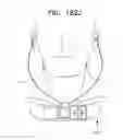 Fig. 253 - Biologically fit wearable electronics apparatus and methods