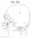 Fig. 49 - Biologically fit wearable electronics apparatus and methods