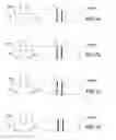 Fig. 10 - Gesture recognition method and interactive system using the same