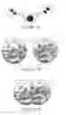 Fig. 08 - Unconstrained spatially aligned head-up display