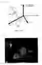 Fig. 08 - Face pose estimation device, face pose estimation method and face pose estimation program