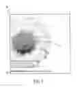 Fig. 04 - Method and apparatus for navigating an electronic magnifier over a target document