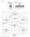 Fig. 09 - COMPOSITE IMAGES FOR MEDICAL PROCEDURES