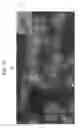 Fig. 08 - Tissue-slice image acquirement and display apparatus, tissue-slice image acquirement and display method, and tissue-slice image acquirement and display program