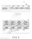 Fig. 10 - IMAGE PROCESSING APPARATUS, IMAGE PROCESSING METHOD, AND COMPUTER READABLE MEDIUM