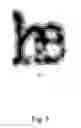 Fig. 04 - Method for processing optical character recognition (OCR) output data, wherein the output data comprises double printed character images
