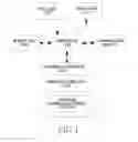 Fig. 02 - Apparatus and method for connecting device through image recognition in mobile terminal