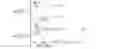 Fig. 34 - METHOD AND SYSTEM FOR CODING IMAGES