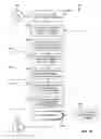 Fig. 17 - Directional noise filtering