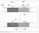 Fig. 01 - TRANSITION OBJECT FREE EDITING