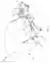 Fig. 02 - Hands-free camera holder